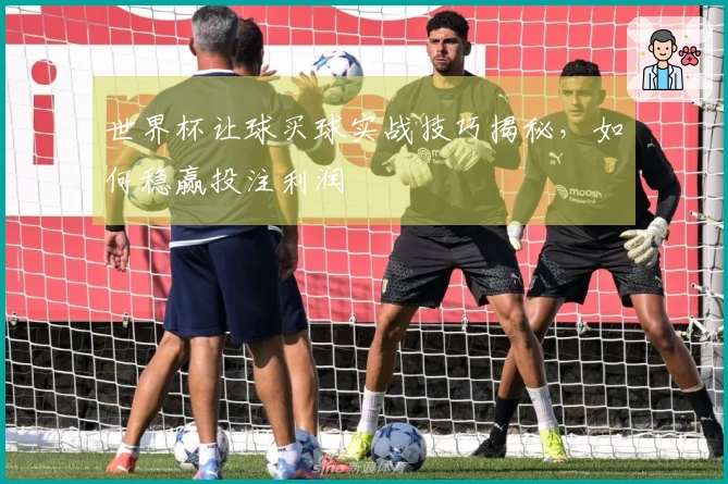 世界杯让球买球实战技巧揭秘，如何稳赢投注利润