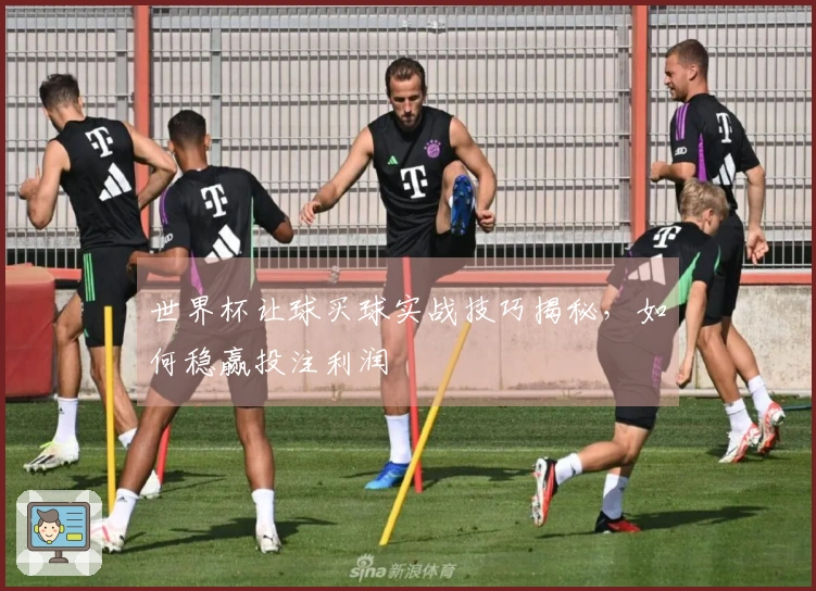 世界杯让球买球实战技巧揭秘，如何稳赢投注利润