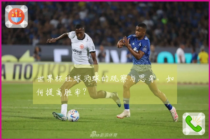世界杯让球买球的观察与思考，如何提高胜率？